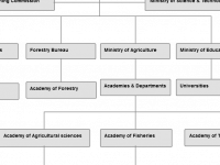 online org chart